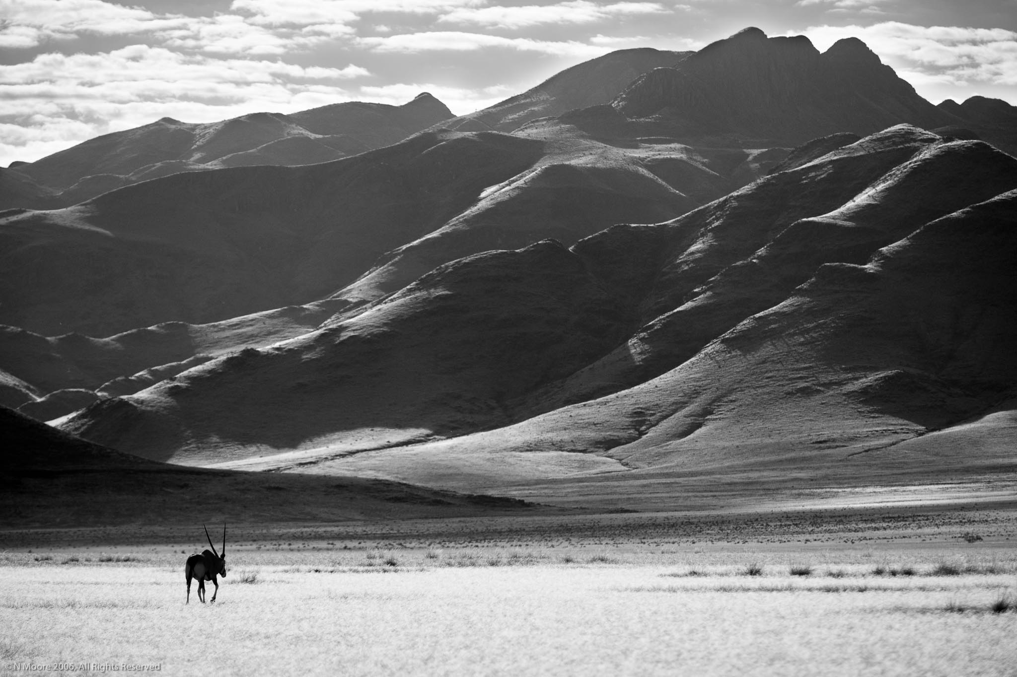 Lonely trek, Namibrand